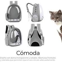 Raganet, Mochila Transportadora de Mascotas, Perros y Gatos, Back Pack Portátil para Mascota Pequeña (áximo 7Kg) Medidas: Ancho 18cm Largo 31cm Altura 42cm (Color Gris) - Gris - Ver 7