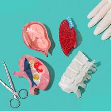 这款个性化骷髅头发夹，搭配新颖的肺、子宫和胃造型发爪，是送给医学爱好者和医疗创业者的最佳礼物。母亲节装饰发夹，秋季发饰，时尚发夹，优雅发卡，适合冬季度假装扮，夏季海滩风情。 - 彩色 - 查看 11