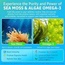 Sea Moss Gummies + Algae Omega-3 For Adults, 15-IN-1 Organic Irish Sea Moss Superfood With_Vitamins C D3 B12, Turmeric, Bladderwrack, Supports Energy, Brain, Immune, Daily Vitality, Sugar-Free, 60 Cts - Flavor NameA - 查看 3
