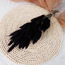 60/120 件兔尾草干花天然干花插花束装饰干草，永生花干草，适用于家居、婚礼、派对、花束、摄影道具装饰、秋季装饰、秋季