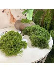 100g Décoration de mousse artificielle - Verdure réaliste, parfaite pour les micro-paysages, la décoration de fenêtre et les mises en page de conception. Cadeaux d'anniversaire, de remise de diplôme, décoration de jardin, plante d'extérieur, jardinage, fleurs artificielles