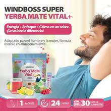 Windboss Instant Yerba Mate | 3-Pack (90 Sachets) | Natural Infusion For Vitality And Focus - 包 3 - 查看 6