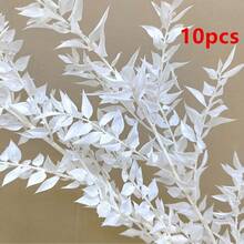 波西米亚风 4 件套干桉树套装 - 多功能白色叶子，适合家居、婚礼派对装饰 | 非常适合秋季、复活节、感恩节 | 桌面绿植装饰、情人节、礼物、生日、毕业典礼、家居装饰、圣诞装饰、房间装饰、圣诞节