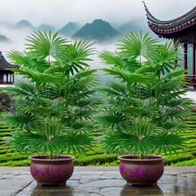 1 PCS Outdoor Green Plant - Large Artificial Palm Tree With 18/24 Vibrant Leaves - Practical Plantas Artificiales Decoration, Excellent For Tropical Rainforest Style, Christmas Mantel & Porch Decor, Halloween Indoor Accents (Indoor/Outdoor) - Pot Not Included - 彩色 - 查看 6