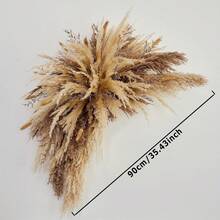 1个35英寸优雅波西米亚风婚礼拱门装饰 - 天然芦苇草 - 适合秋冬季节，藤条材质，用途广泛，可用于圣诞节、万圣节等场合 - 可悬挂芦苇草镜面装饰、墙面装饰、活动背景、沙龙指示牌 - 米色 - 查看 5