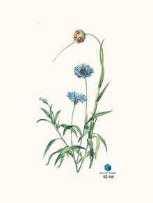 STARTTOOS 1 件新鲜绿叶和藤蔓图案临时纹身贴纸，适合女性、日常、派对、节日，适用于手臂、胸部、腹部、背部、身体 - 彩色 - 查看 3