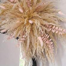 1pc 35inch Elegant Boho Wedding Arch Decor - Natural Pampas Grass Elegant Boho Wedding Arch Decor - Natural Pampas Grass - Autumn & Winter Seasonal Decor, Rattan Material, Versatile For Christmas, - Hanging Pampas Mirror Surround, Wall Decor, Event Backdrop, Salon Signage Home Decor Christmas Decorations Room Decor