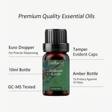 Essential Oil Gift Set (0.33 Oz X 6) Ideal For Diffusers, Humidifiers, Candle Making, And Air Freshening. Includes Agarwood, Amber, Frankincense, Himalayan Cedarwood, Musk, And Ylang-Ylang. The Perfect Christmas Gift Choice. - 均碼 - 查看 4