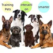 8个/1个狗狗语音通话按钮套装，8种颜色，带录音功能，狗狗训练响片，用于沟通交流，带30秒可录音功能的语音按钮，宠物训练蜂鸣按钮，适用于狗狗