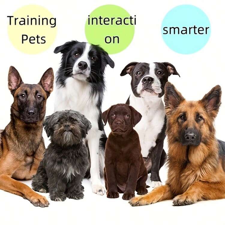 8pcs/Set Dog Voice Recording Buttons, 8 Colors, 30s Recording Time, Pet Training Sound Maker Buzzer - Multicolor - View 7