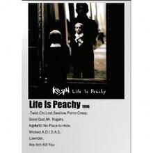 Tranh treo tường (1/3 tấm), khung tùy chọn, trang trí tường, trang trí phòng, bộ tranh áp phích ban nhạc Korn Vintage Metal, tranh nghệ thuật âm nhạc cổ điển, phù hợp cho phòng ngủ, phòng giải trí, quán bar - Tranh canvas, tranh chân dung, tranh tường Toile. - Nhiều màu - Xem 128