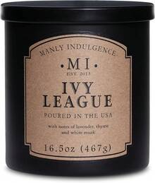 Liga Ivy
