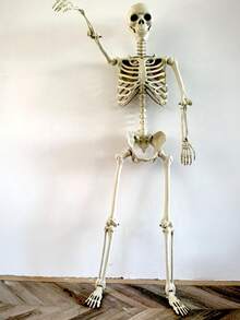 2025pcs Halloween Haunted House Props Human Skeleton Dry Corpse Skeleton Decoration - Multicolor - View 7
