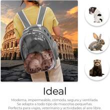 Raganet, Mochila Transportadora de Mascotas, Perros y Gatos, Back Pack Portátil para Mascota Pequeña (áximo 7Kg) Medidas: Ancho 18cm Largo 31cm Altura 42cm (Color Gris) - Gris - Ver 8