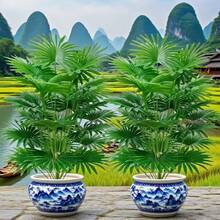 1 PCS Outdoor Green Plant - Large Artificial Palm Tree With 18/24 Vibrant Leaves - Practical Plantas Artificiales Decoration, Excellent For Tropical Rainforest Style, Christmas Mantel & Porch Decor, Halloween Indoor Accents (Indoor/Outdoor) - Pot Not Included - 彩色 - 查看 5