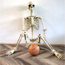 2025pcs Halloween Haunted House Props Human Skeleton Dry Corpse Skeleton Decoration - Multicolor - View 10