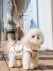 Haustier Tragetasche mit Leine Set, Katzentragetasche, Hundetragetasche, atmungsaktiver tragbarer Haustier-Rucksack für den Außenbereich, Handtasche mit Schulterriemen, leichte Reise-Tragetasche