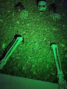 3 pièces Piquets de squelette Décorations d'Halloween - Design réaliste de crâne et d'os, décoration de jardin et d'intérieur en plastique durable, fournitures de fête d'Halloween effrayantes faciles à installer, décoration d'Halloween