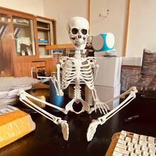 2025pcs Halloween Haunted House Props Human Skeleton Dry Corpse Skeleton Decoration - Multicolor - View 8