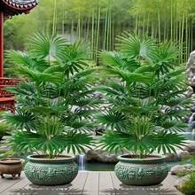 1 PCS Outdoor Green Plant - Large Artificial Palm Tree With 18/24 Vibrant Leaves - Practical Plantas Artificiales Decoration, Excellent For Tropical Rainforest Style, Christmas Mantel & Porch Decor, Halloween Indoor Accents (Indoor/Outdoor) - Pot Not Included - 彩色 - 查看 4