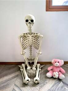 2025pcs Halloween Haunted House Props Human Skeleton Dry Corpse Skeleton Decoration - Multicolor - View 6