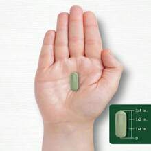 Carlyle Moringa Oleifera | 180 Capsules | Non-GMO And Gluten Free Supplement | Complete Green Superfood | From Moringa Leaf Powder - 白色的 - 查看 8