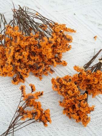 25/50/100/300 件人造白色迷你满天星干花，象牙色花瓶填充物，适用于婚礼、家居、办公室、派对、花园、卡片制作、DIY 装饰