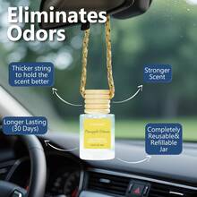 AIR FUSION 4 Pack Hanging Car Air Freshener & Diffuser | 120-Day Long-Lasting Fragrance | 17 Fragrances All Ages - bộ 4 (gói 4) - Xem 6