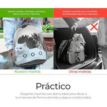 Raganet, Mochila Transportadora de Mascotas, Perros y Gatos, Back Pack Portátil para Mascota Pequeña (áximo 7Kg) Medidas: Ancho 18cm Largo 31cm Altura 42cm (Color Gris) - Gris - Ver 3
