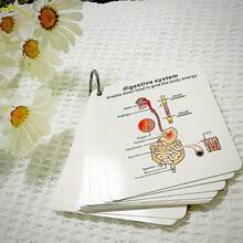 Anatomy Flashcards - Comprehensive Learning Guide For Medical And Nursing Studies, Includes Illustrations Of Skeletal, Muscular, Digestive, Reproductive, Respiratory And Circulatory Systems - Ideal Gift For Students, Prompt Cards, Study Flashcards - White - View 4