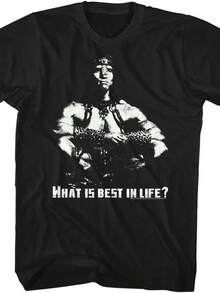 Barbarian Destroyer Arnold Best In Life Crush Enemies Adult T-Shirt Tee - màu đen - Xem 1