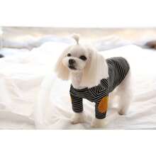 中小型犬和猫休闲条纹圆领 T 恤，宠物插肩袖 T 恤