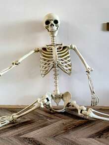 2025pcs Halloween Haunted House Props Human Skeleton Dry Corpse Skeleton Decoration - Multicolor - View 5