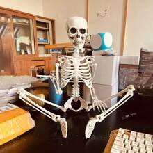 2025pcs Halloween Haunted House Props Human Skeleton Dry Corpse Skeleton Decoration - Multicolor - View 2