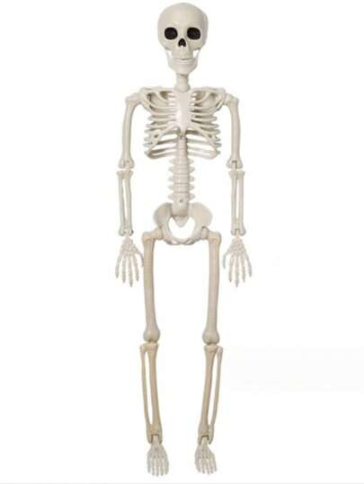 1pc 40/90cm Halloween Skeleton Bones, Realistic Human Skeleton Prop, Halloween Party Decoration, Haunted House Scene Decor, Adds Festive Atmosphere To Rooms, Homes, Theme Parties, Family Gatherings, Outdoor Gardens