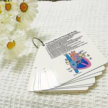 Anatomy Flashcards - Comprehensive Learning Guide For Medical And Nursing Studies, Includes Illustrations Of Skeletal, Muscular, Digestive, Reproductive, Respiratory And Circulatory Systems - Ideal Gift For Students, Prompt Cards, Study Flashcards - White - View 2