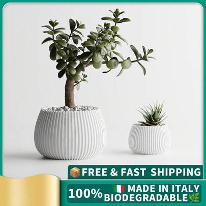 ORIZZONTE Vaso decorativo moderno com textura de listras verticais – Design minimalista redondo e baixo para plantas, cactos, bonsai – Ideia de presente para casa/escritório – Disponível em 2 tamanhos – 100% fabricado na Itália, envio da Itália