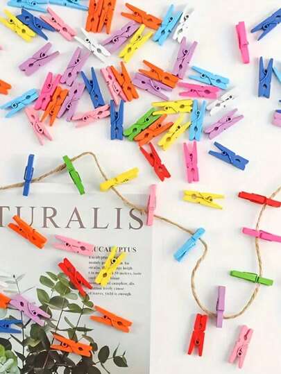 迷你彩色木质夹子，适用于照片、工艺品和装饰——非常适合悬挂小型照片进行展示、学校用品和返校用品。