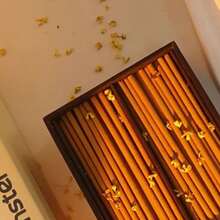 30-35 支优质圣木、白鼠尾草、雪松、咖啡香薰棒，2.7 毫米厚天然芳香疗法，适用于瑜伽、冥想、清洁和送礼