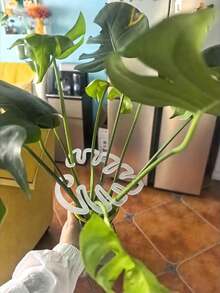 Anti-Lodging Bracket Monstera Anti-Lodging Bracket Fixer Green Plant Fixing Clip Hydroponic Flower Stem Spring Feather Gardening Flower Collection Rack