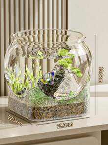 Round Transparent Fish Bowl, Shatterproof Small Desktop Hydroponic Goldfish Tank, Small Landscape Goldfish Bowl, Suitable For Office And Living Room, Home Transparent Creative Shatterproof Aquarium - Clear - View 14