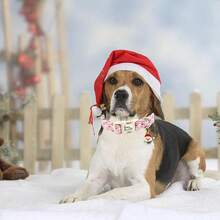 狗项圈圣诞节节日宠物项圈圣诞老人印花宠物项圈可爱小狗项圈柔软可调节狗项圈 - 粉色 - 查看 3