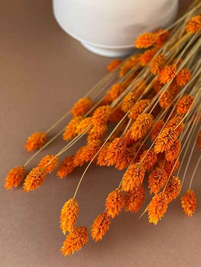 25/50/100pcs Gem Grass Dried Flowers/Preserved Flowers, Multi-Color Options, For Home Decor, Vase Decor, DIY Bouquets, Cake Decorations