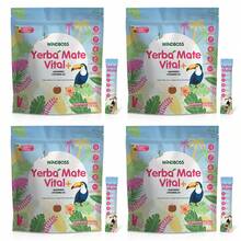Windboss Yerba Mate en Polvo | Combo de 4 Cajas (120 Sobres) | Energía y Bienestar Diario en Sobres Prácticos - paquete 4 - Ver 1