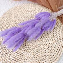 Boho Chic Artificial Pampas Grass - Natural Dried Hare's-Tail Grass In White & Beige, Rustic Vase Filler For Home & Outdoor Decor, Perfect For Easter, St. Patrick's Day, Valentine's, Mother's Day & Graduation Centerpieces & Crafts, No Power Needed, Garden Decorations - Multicolor - View 16