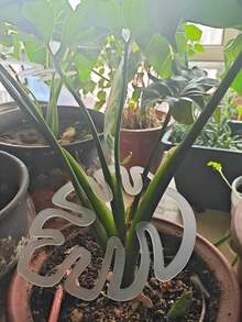 Anti-Lodging Bracket Monstera Anti-Lodging Bracket Fixer Green Plant Fixing Clip Hydroponic Flower Stem Spring Feather Gardening Flower Collection Rack