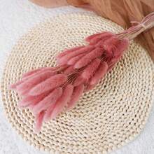 60/120 件兔尾草干花天然干花插花束装饰干草，永生花干草，适用于家居、婚礼、派对、花束、摄影道具装饰、秋季装饰、秋季