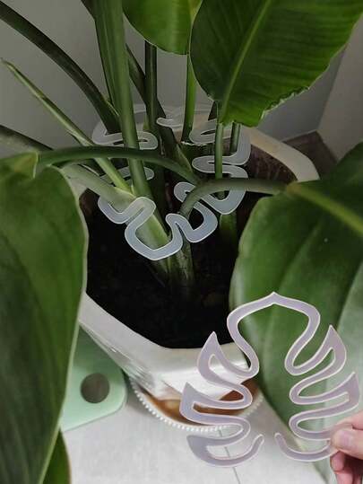 防倒伏支架龟背竹防倒伏支架固定器绿植固定夹水培花茎弹簧羽毛园艺花卉收集架