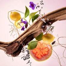 Mini Find Comfort Body & Hair Fragrance Mist With Niacinamide  Concentrate Mix-In Collagen And Bio-Retinol  Graduation Birthday Holiday Summer Fall Autumn Y2K Fancy Fashion Women Brand Makeup Cosmetic Beauty Party Beach Travel Camping Outdoors School Campus Trip Festivals Decor Gift Present Rose Girl Cosplay Best Color Charm Vibe