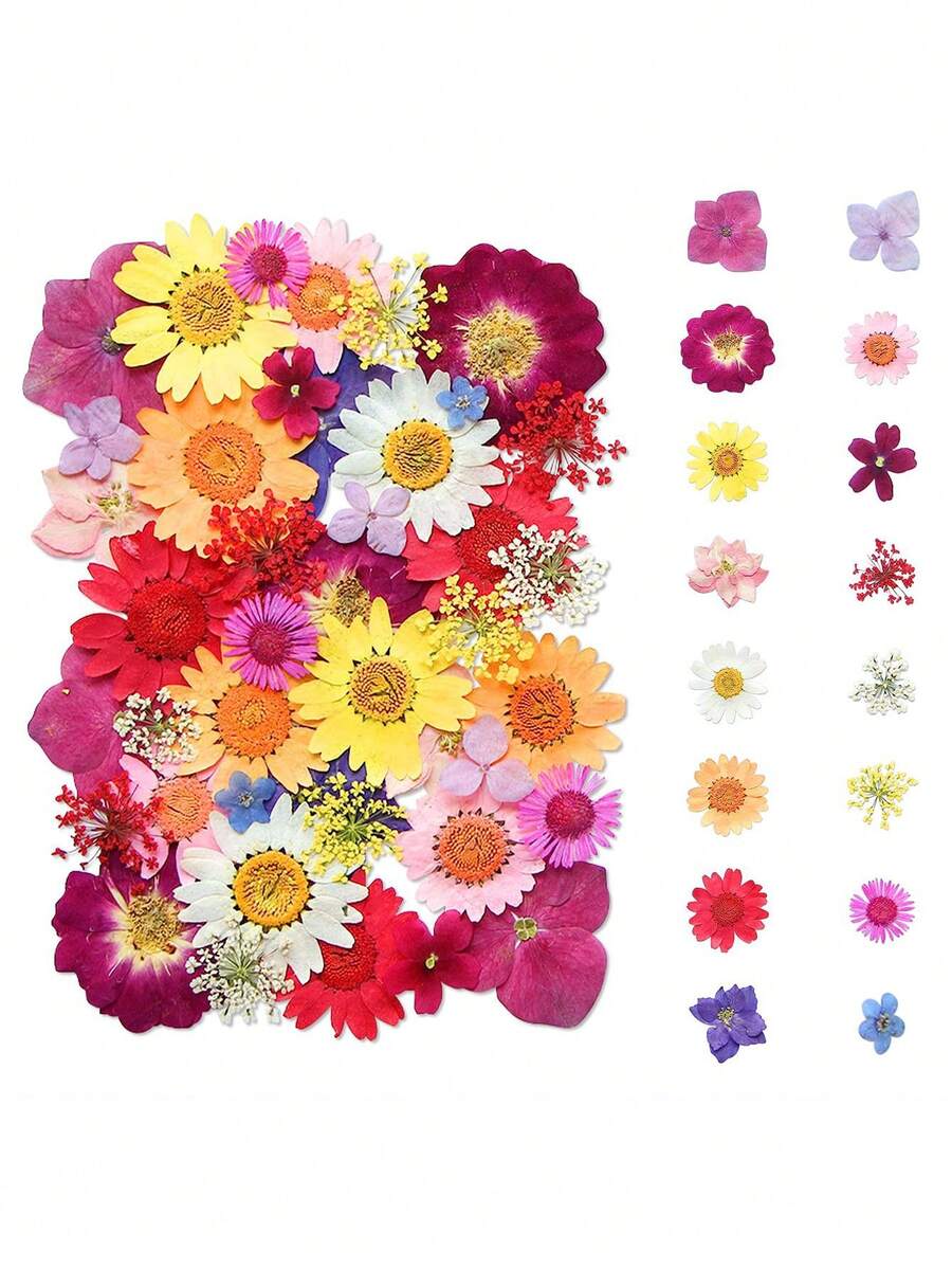 1 Set Natural Dried Flowers, For Nail Art, Resin Art, Candle Making, DIY Craft Decoration, Colorful Epoxy Mold Filler, Mixed Small Pressed Botanicals